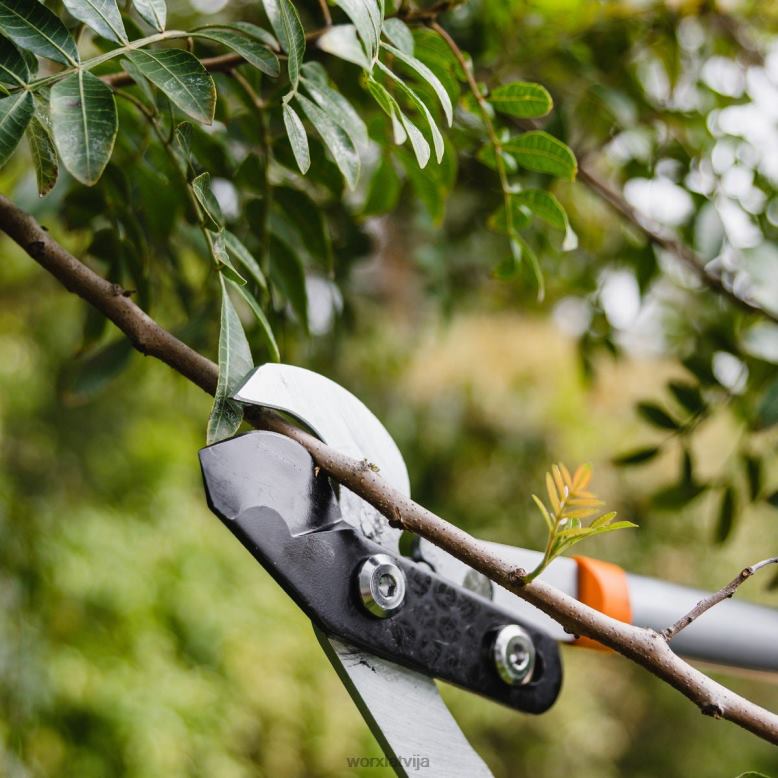 dārza instrumenti 21,5 collu apvedceļa griezējs WORX JV4PF52